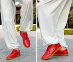 Tai Chi Shoes Leather - Vignette | Yin Yang Paradise