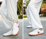 Tai Chi Shoes Leather - Vignette | Yin Yang Paradise