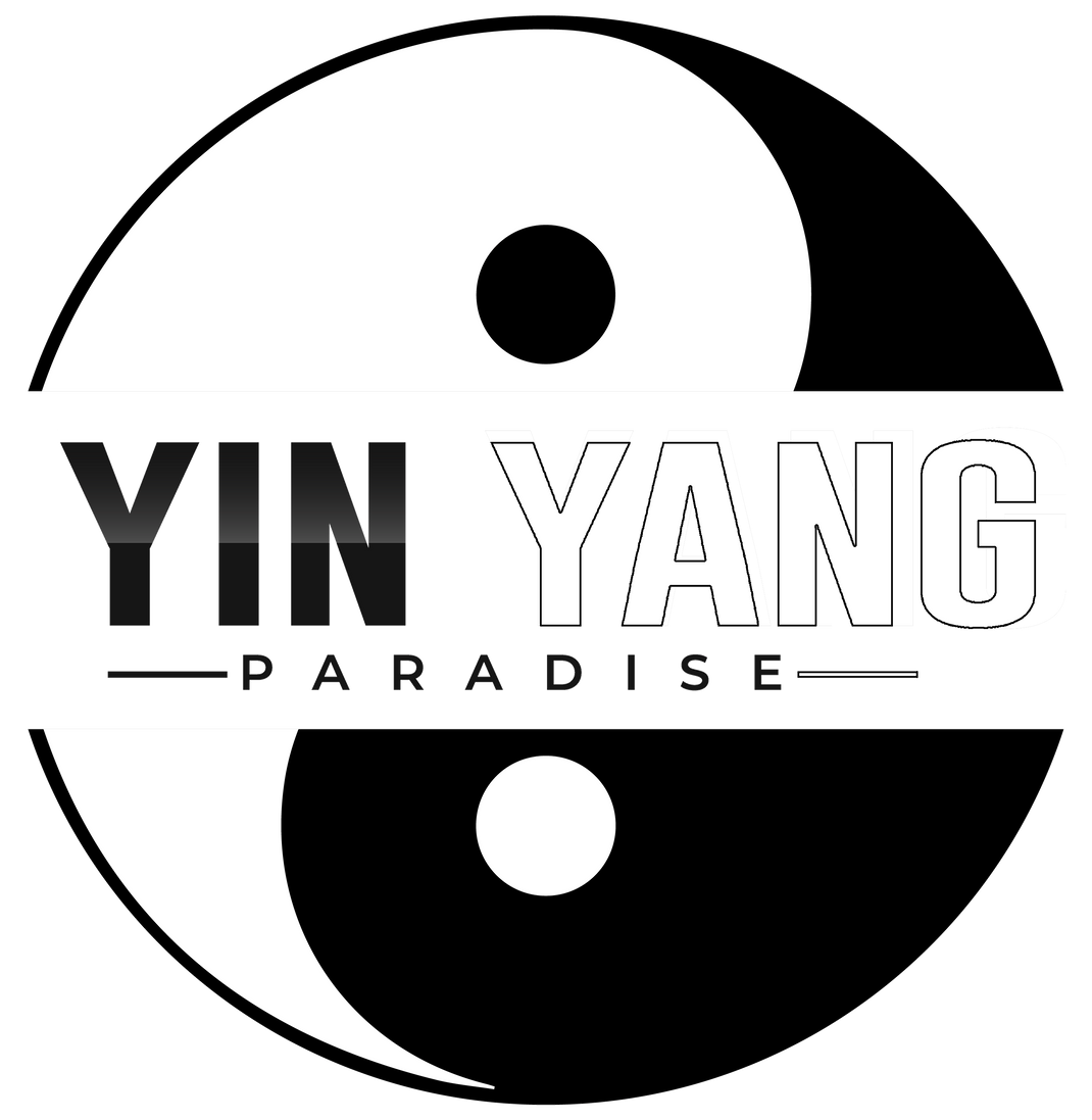 Yin and Yang Friendship Bracelet Yin Yang Paradise