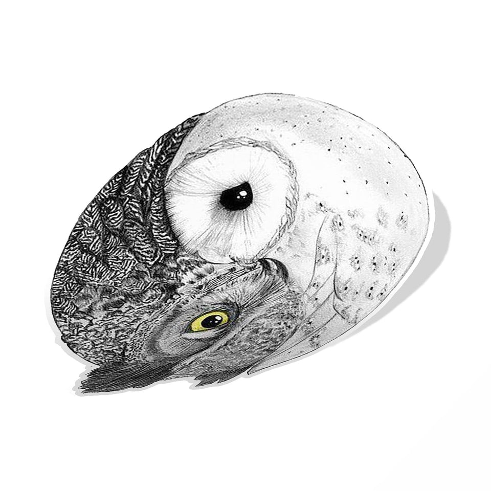 Owl Sticker