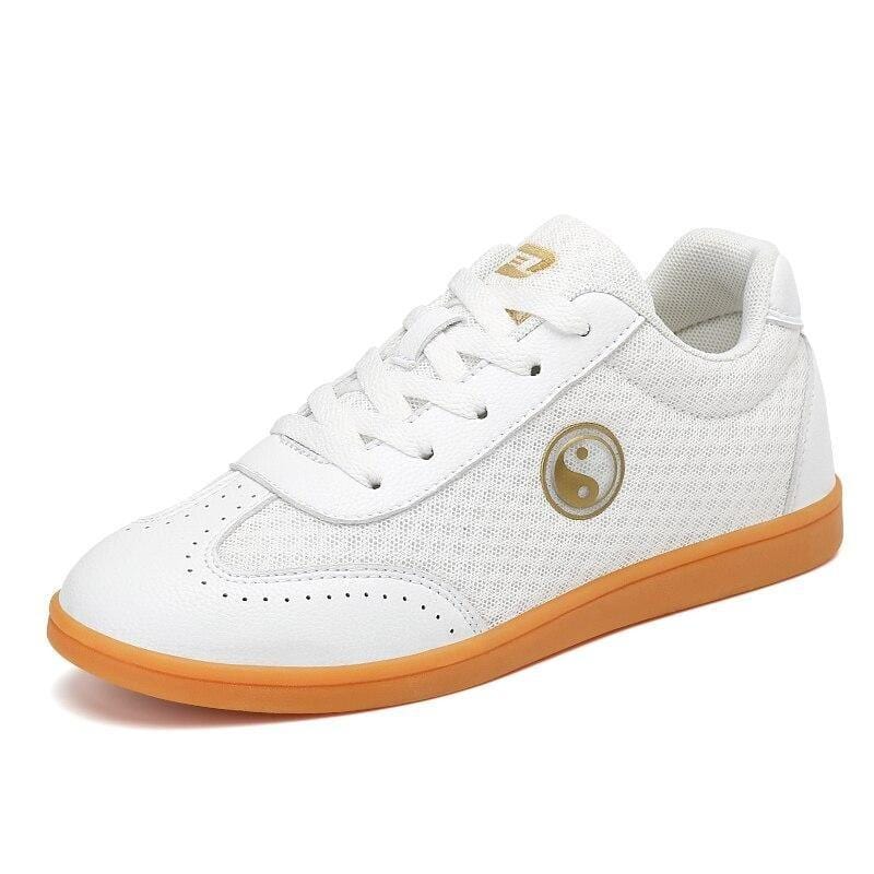 tai chi shoes mens