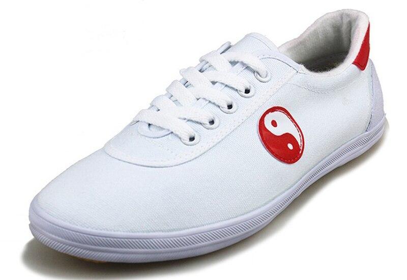 tai chi shoes